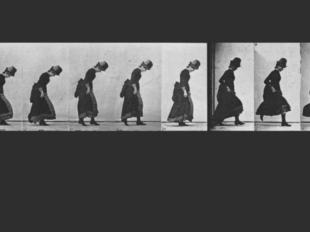 Muybridge examples