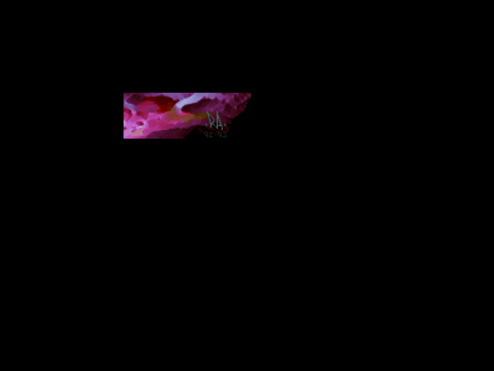 Set Viewport examples